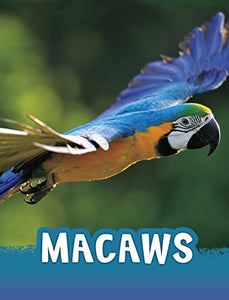 Macaws 