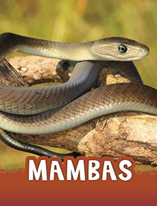 Mambas 