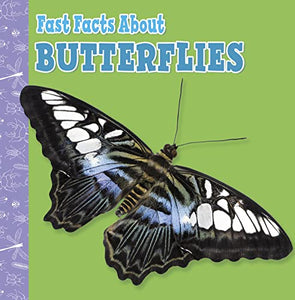 Fast Facts About Butterflies 