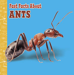 Fast Facts About Ants 