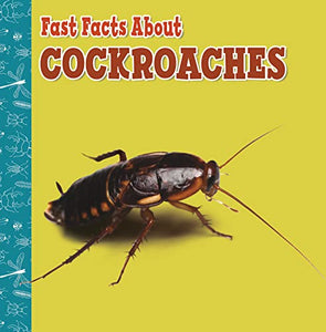 Fast Facts About Cockroaches 