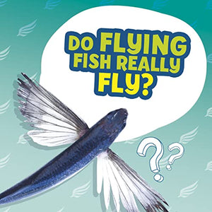 Do Flying Fish Really Fly? 