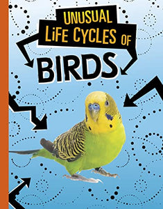 Unusual Life Cycles of Birds 