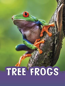 Tree Frogs 