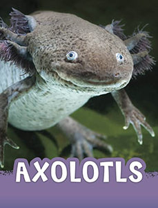 Axolotls 