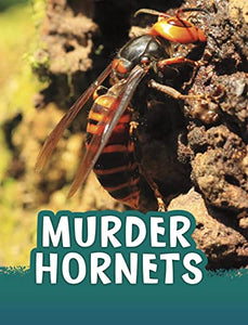 Murder Hornets 