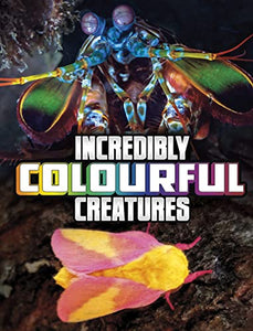 Incredibly Colourful Creatures 