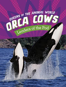 Orca Cows 