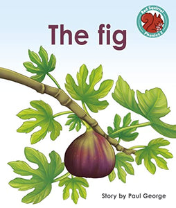 The Fig 