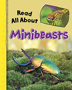 Read All About Minibeasts 