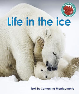 Life in the ice 