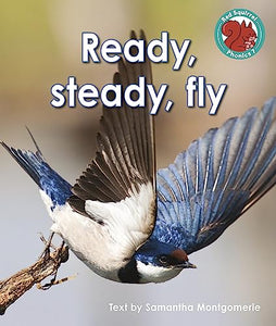 Ready, steady, fly 