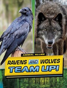 Ravens and Wolves Team Up! 