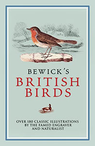 Bewick's British Birds 