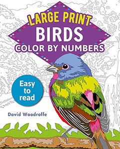 Large Print Color by Numbers Birds 