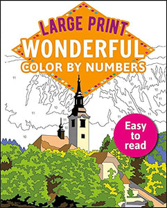 Large Print Wonderful Color by Numbers 