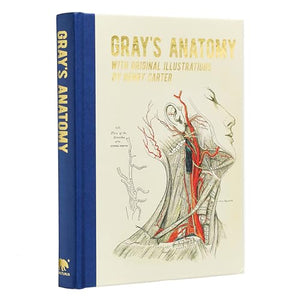 Gray's Anatomy 