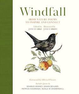 Windfall 