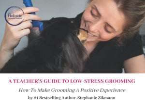 A Teacher's Guide To Low-Stress Grooming 