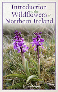 Introduction to the Wildflowers of Northern Ireland 