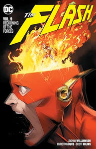 The Flash Volume 9 