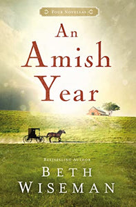 An Amish Year 