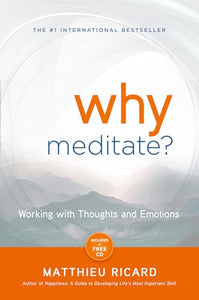 Why Meditate 