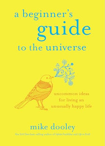 A Beginner's Guide to the Universe 