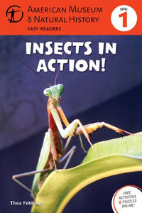 Insects in Action! 