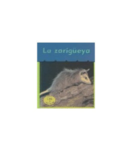 La Zarigüeya 