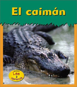 El Caim�n 