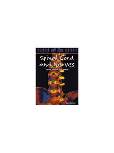 Nerves and Spinal Cord 