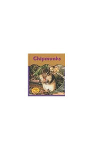 Chipmunks 