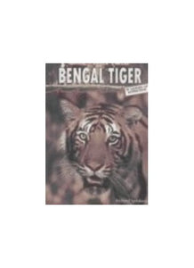 Bengal Tiger 