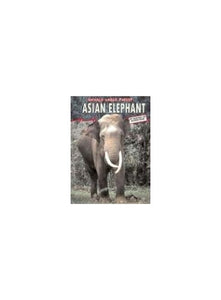 Asian Elephant 