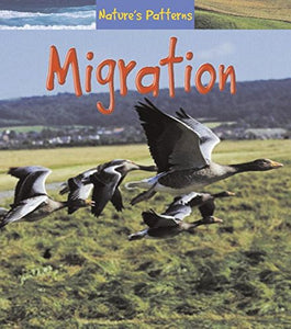 Migration 