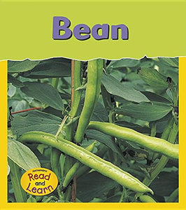 Bean 