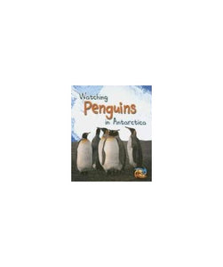 Watching Penguins in Antarctica 