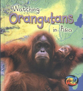 Watching Orangutans in Asia 