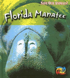 Florida Manatee 