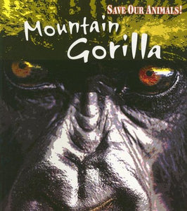 Mountain Gorilla 