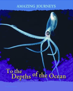 To the Depths of the Ocean 