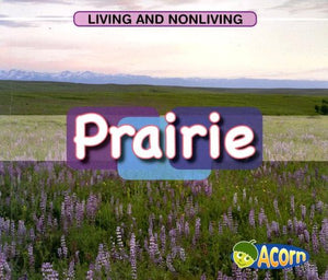 Prairie 