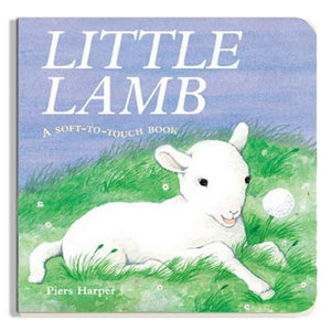 Little Lamb 