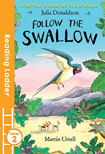 Follow the Swallow 