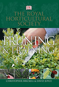 RHS Pruning and Training 