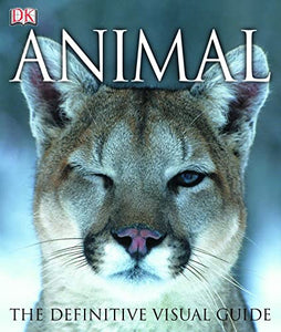 Animal 