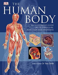 The Human Body 