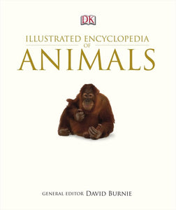 Illustrated Encyclopedia of Animals 