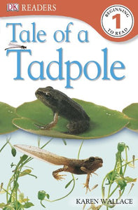 Tale of a Tadpole 